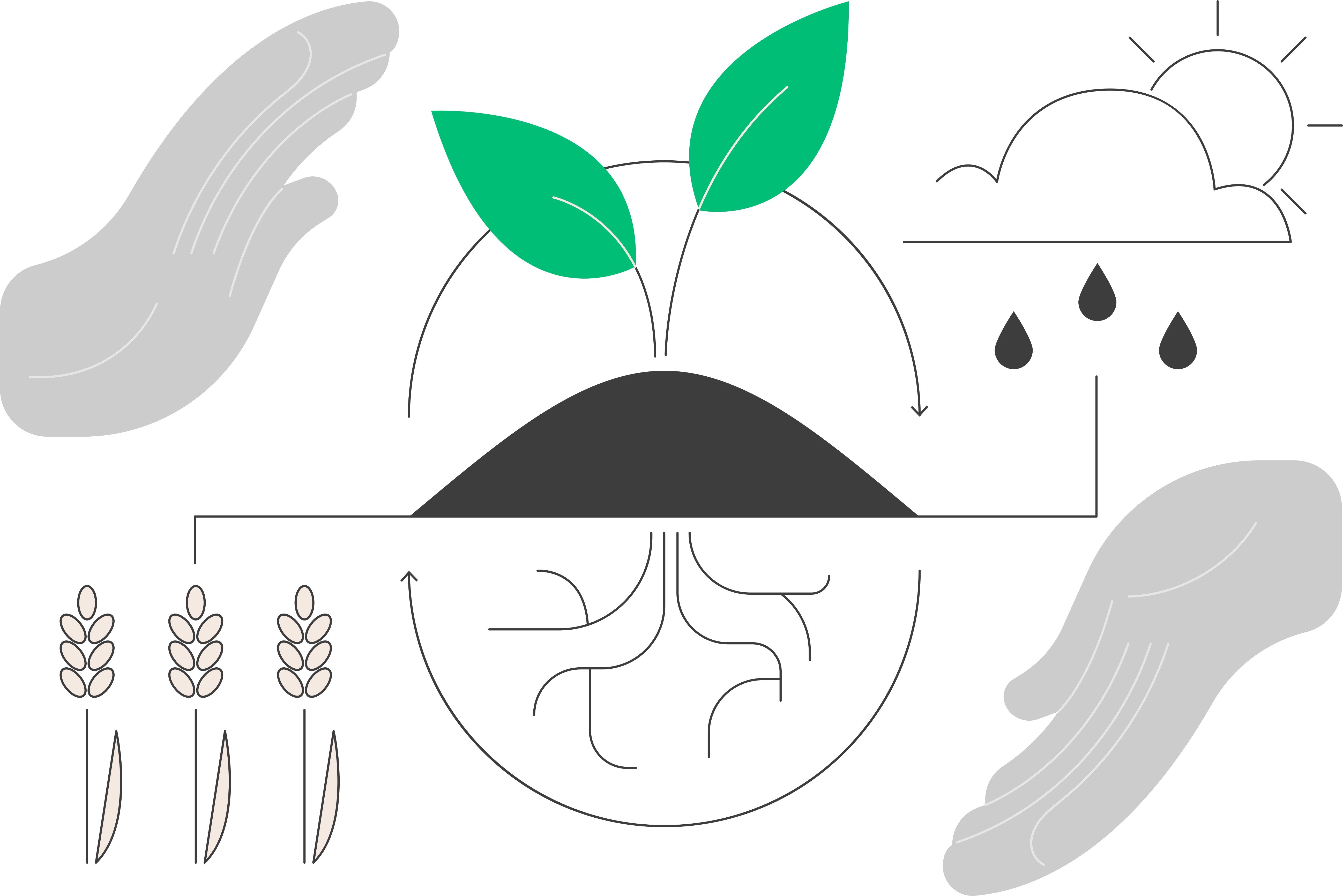 Adyuvantes en la Agricultura de Precisión: más eficiencia, productividad y sostenibilidad