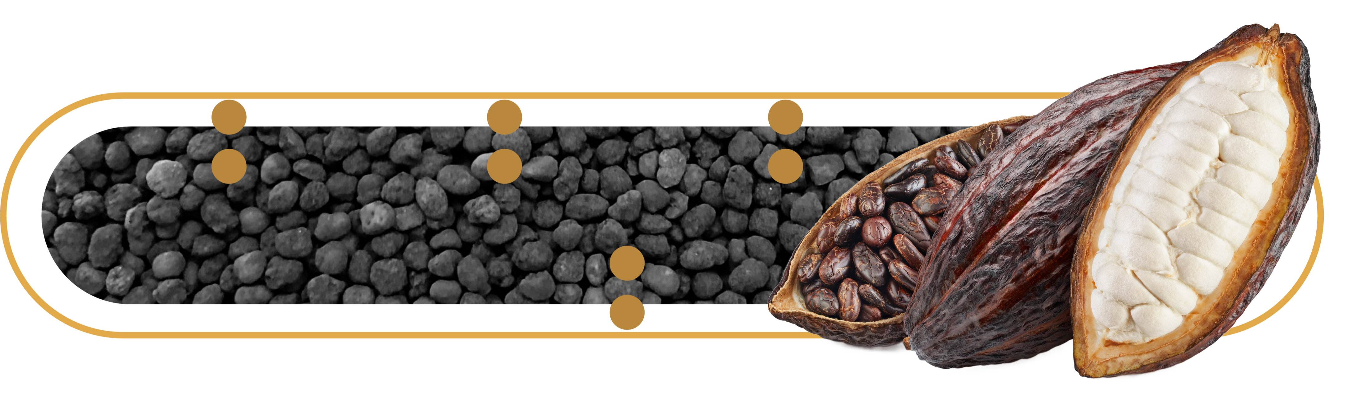 A Hora e a Vez do Cacau: alta nos preços e expansão da cultura no Brasil