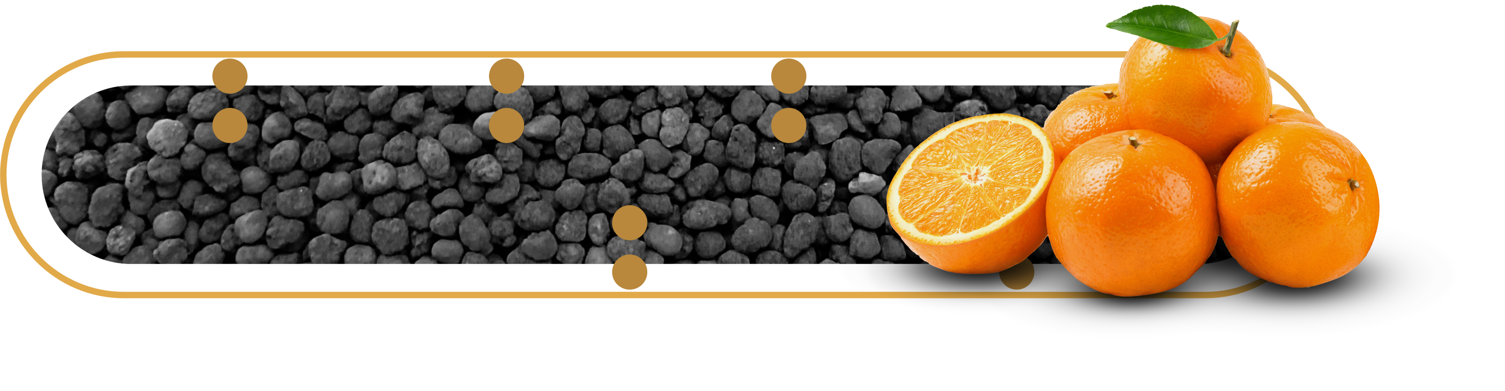 A nova geografia da citricultura no Brasil