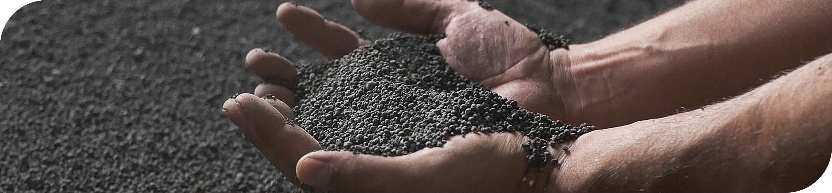 Nutrientes certos, no local e momentos certos