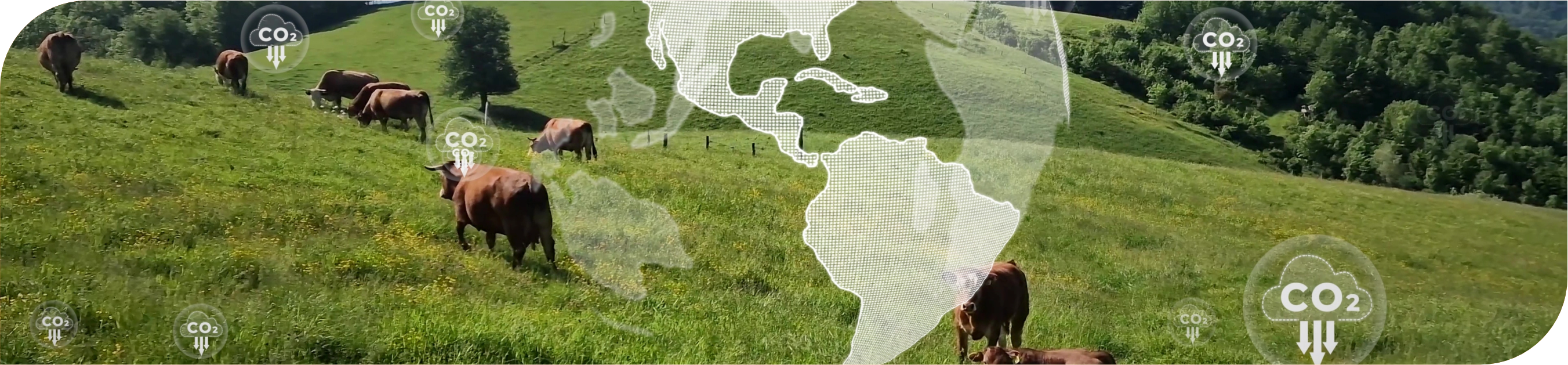 Adyuvantes en la Agricultura de Precisión: más eficiencia, productividad y sostenibilidad